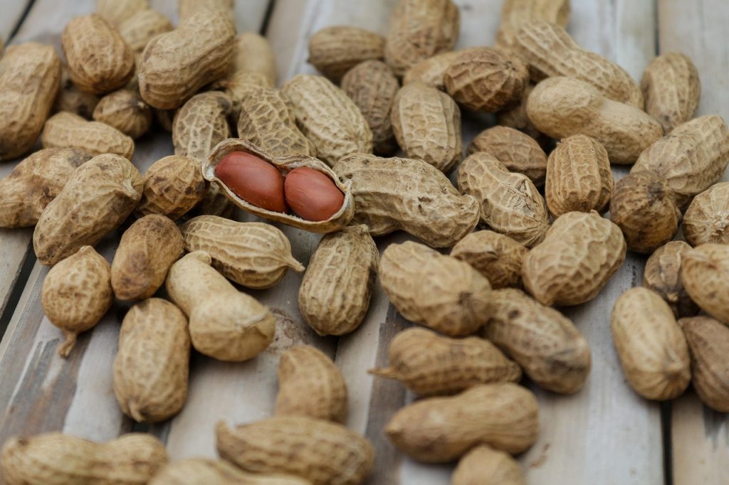 Unlock Your Potential: Mastering the Biohacking Diet for Optimal Health